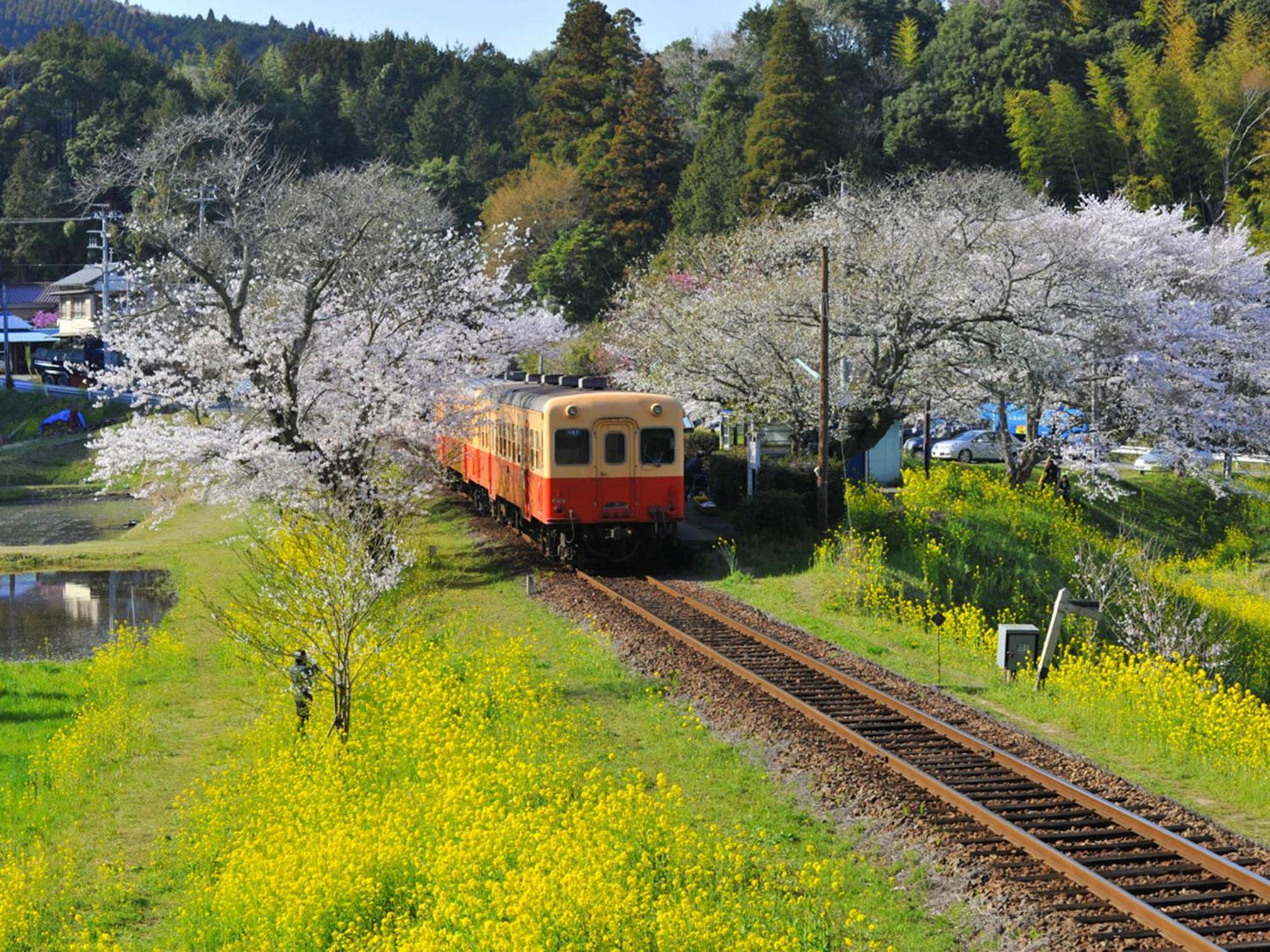 Ichihara Marine Hotel ภายนอก รูปภาพ